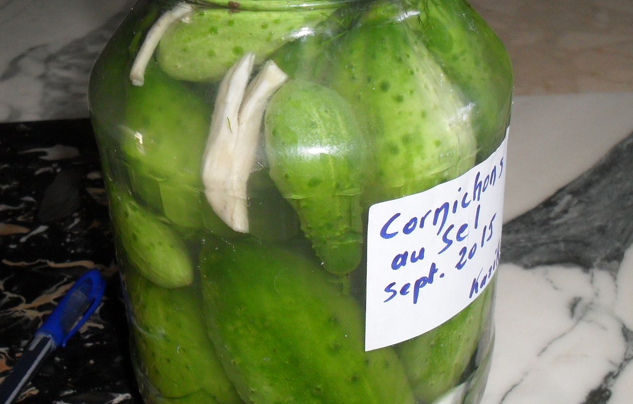 Cornichons au Sel Recette de Cornichons au Sel Marmiton