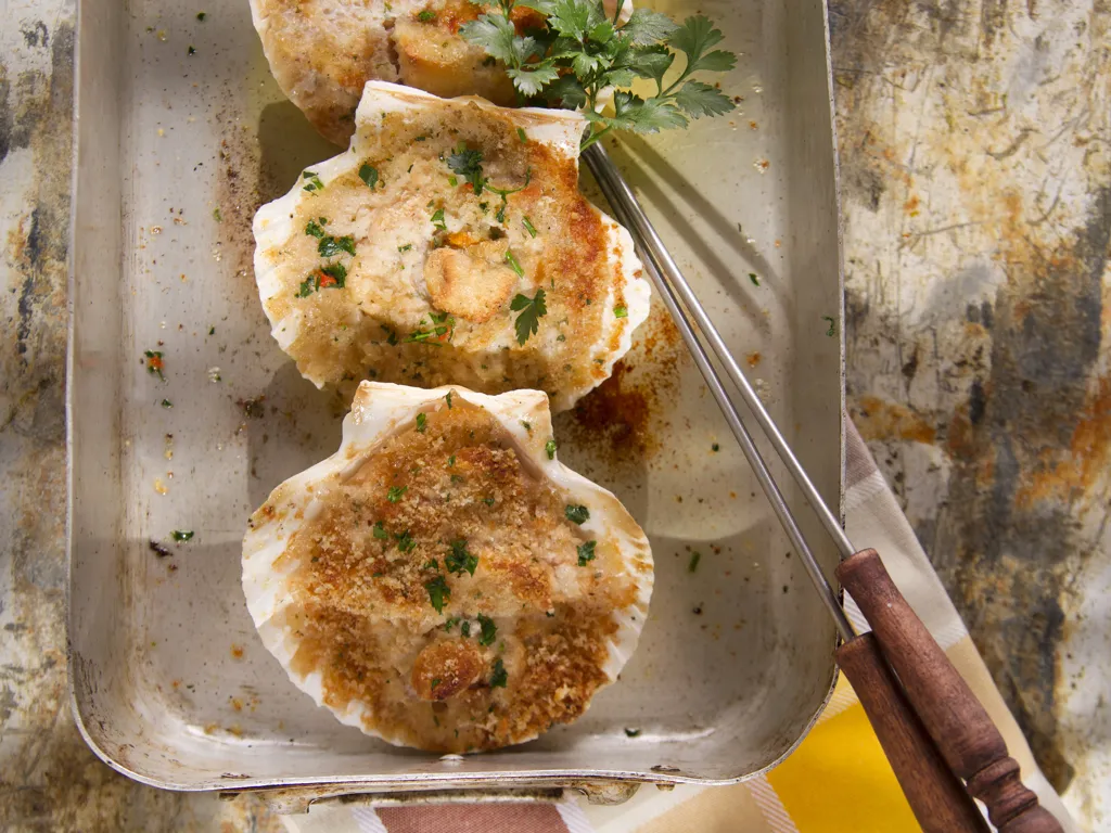 gratin de st jacques