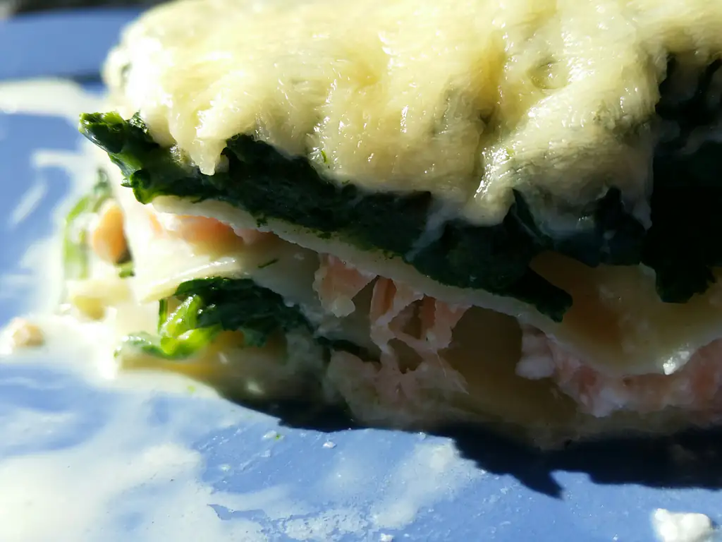 lasagnes au saumon et à l'épinard