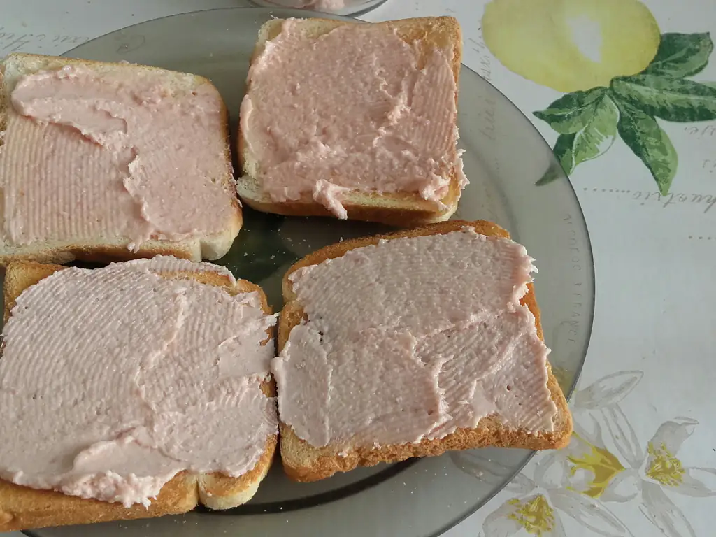 rillettes de saumon et jambon