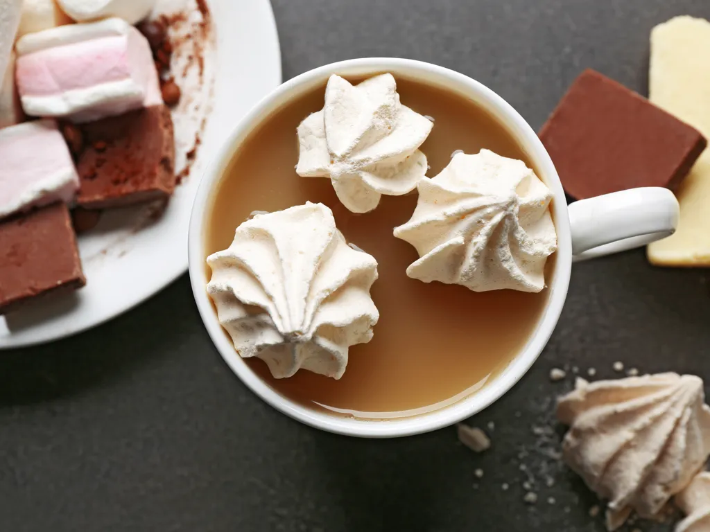 mousse au chocolat et meringues glacée
