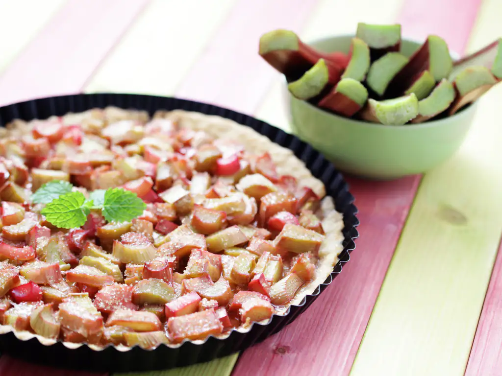 tarte à la rhubarbe rapide de camila