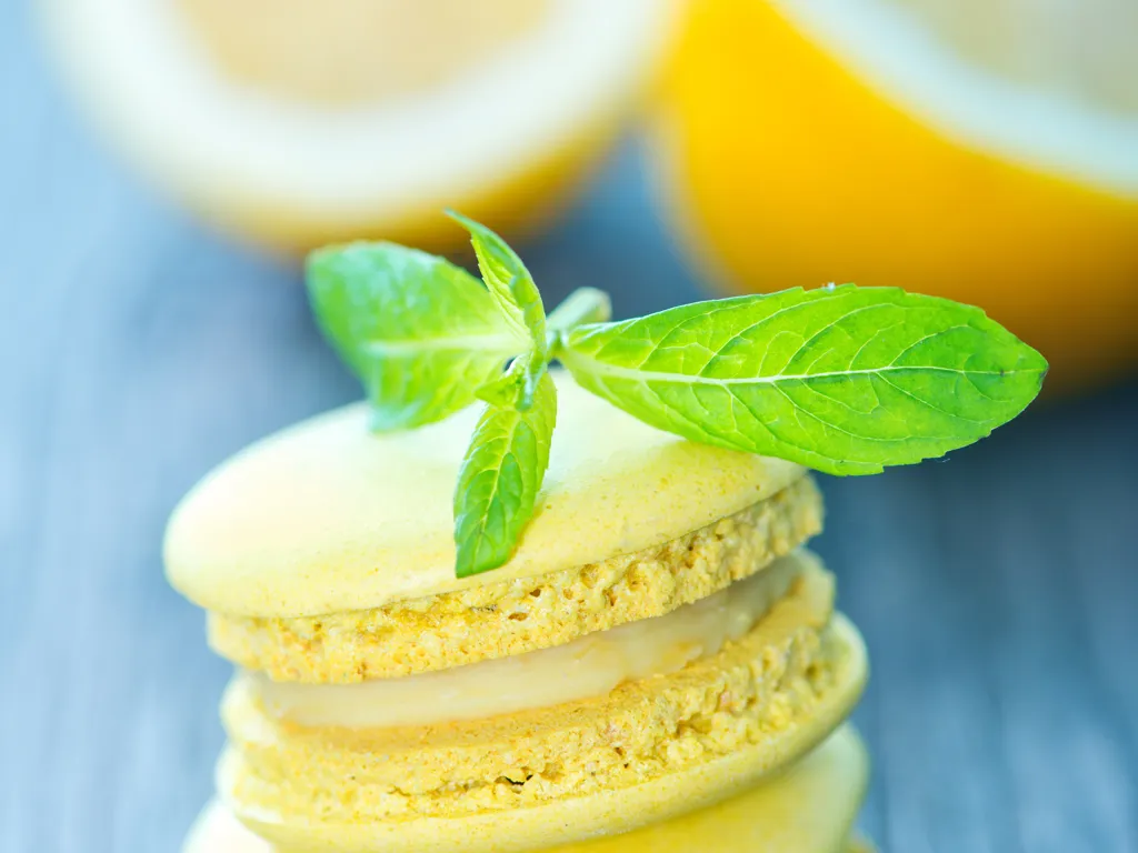 Macarons à la menthe poivrée Livraison rapide et gratuite Parfait