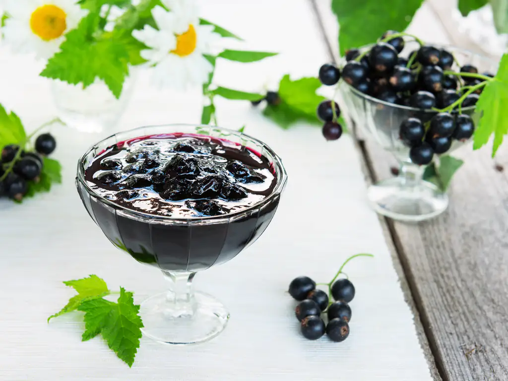 confiture de cassis à la rhubarbe