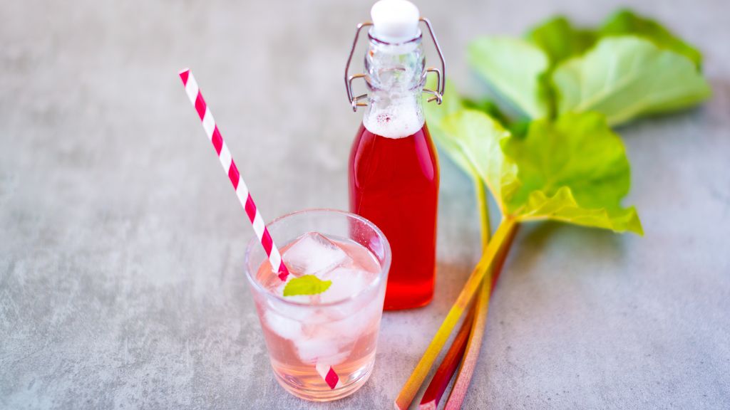 Sirop de rhubarbe (sucre cristallisé)