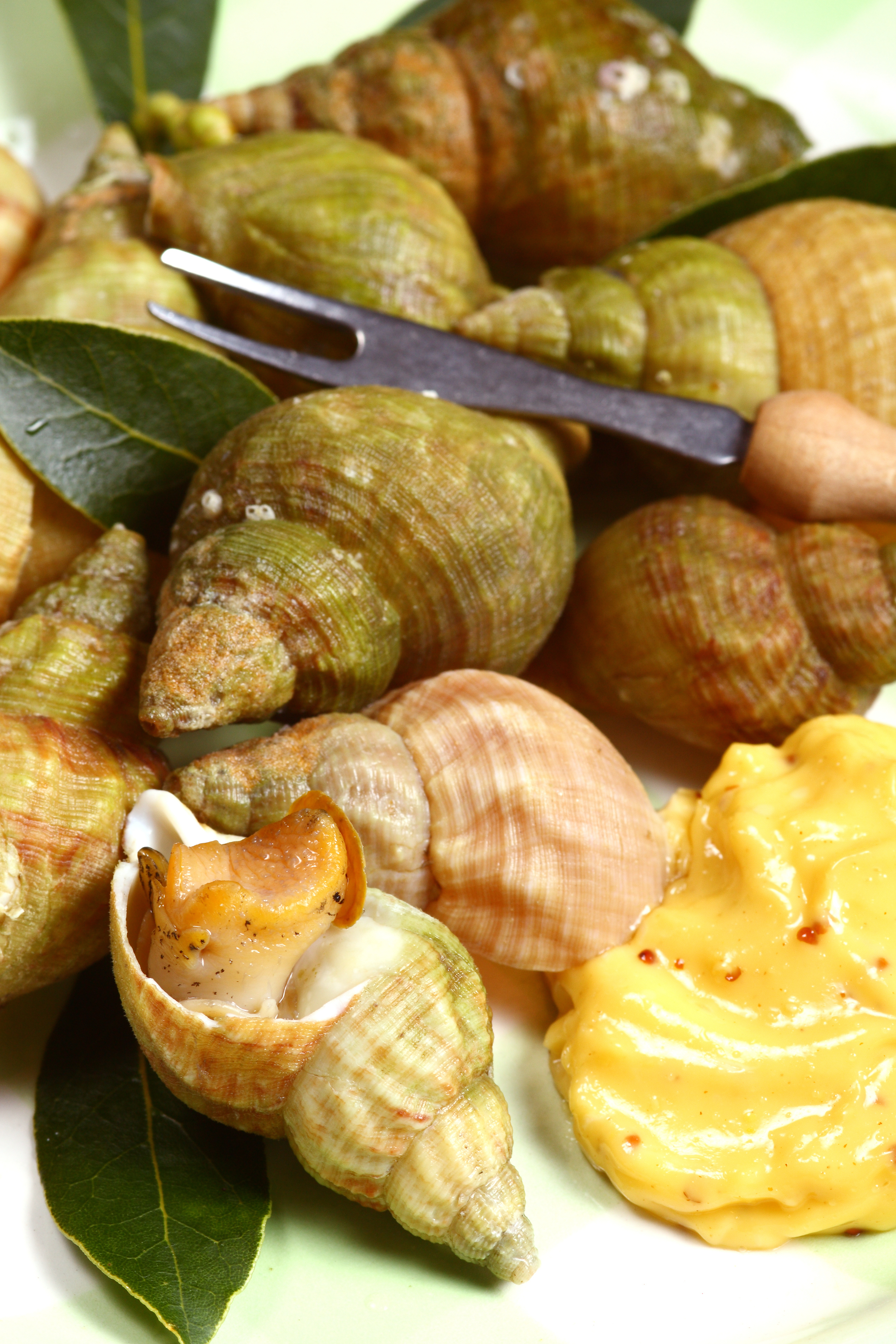 Combien De Bulot Dans 1 Kg Bulots mayonnaise : recette de Bulots mayonnaise