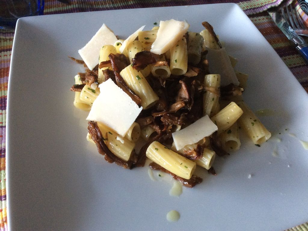 Rigatoni Aux Champignons Des Bois : Recette De Rigatoni Aux Champignons ...