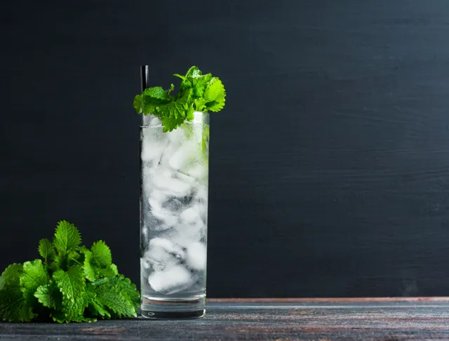 Ma liqueur de menthe : recette de Ma liqueur de menthe