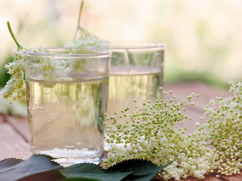 Sirop De Fleurs De Sureau Facile Recette De Sirop De