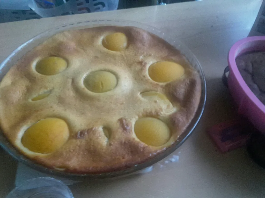 gâteau flan aux abricots