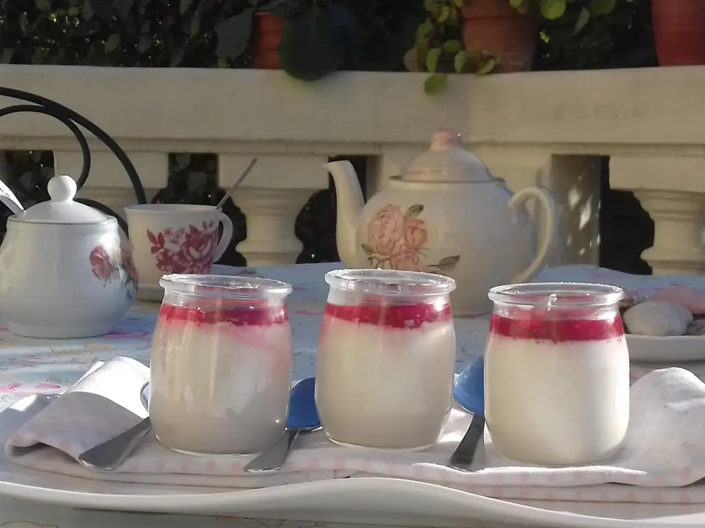 panna cotta à la noix de coco et à la framboise