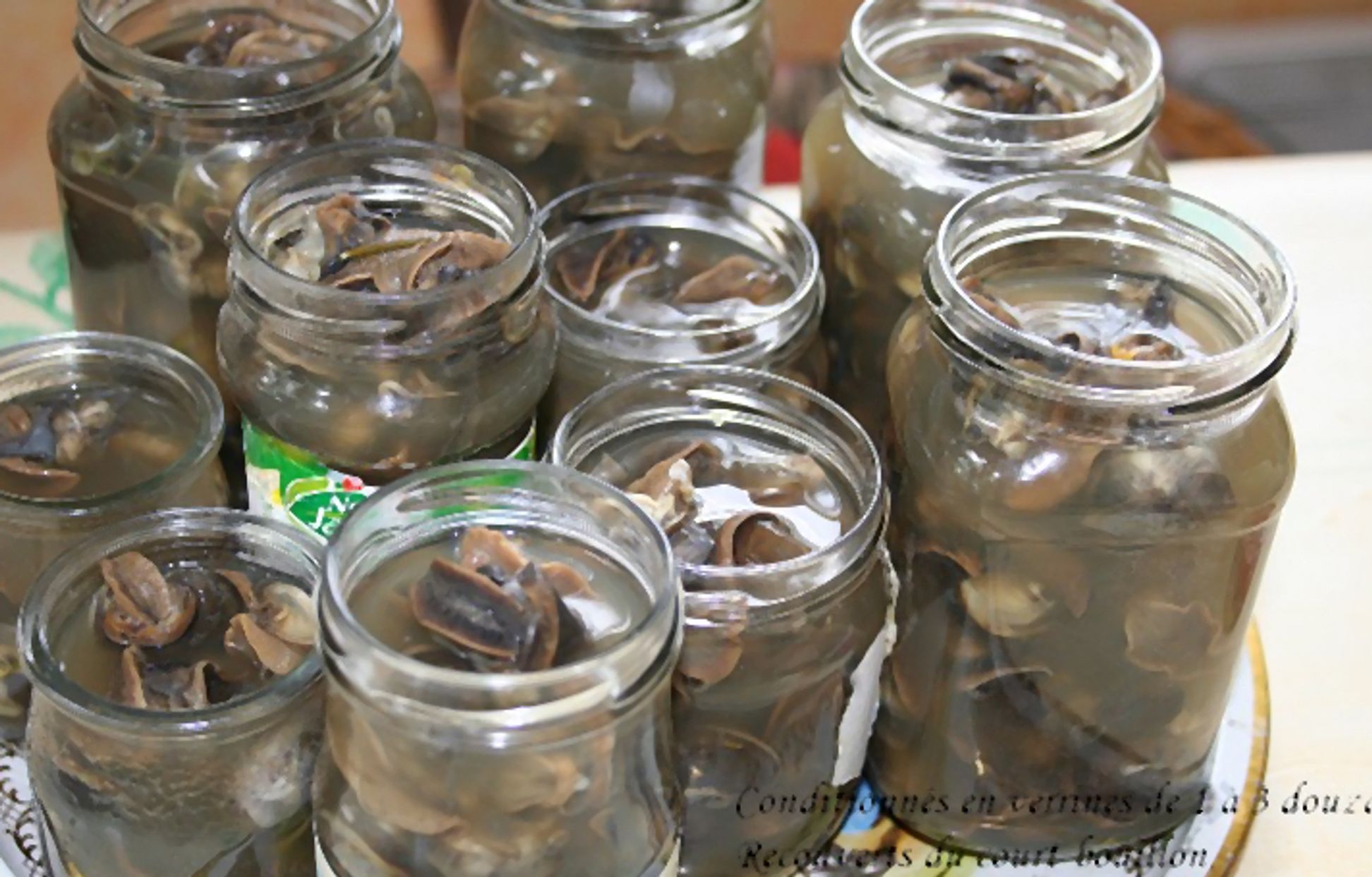 Escargot En Conserve Lidl