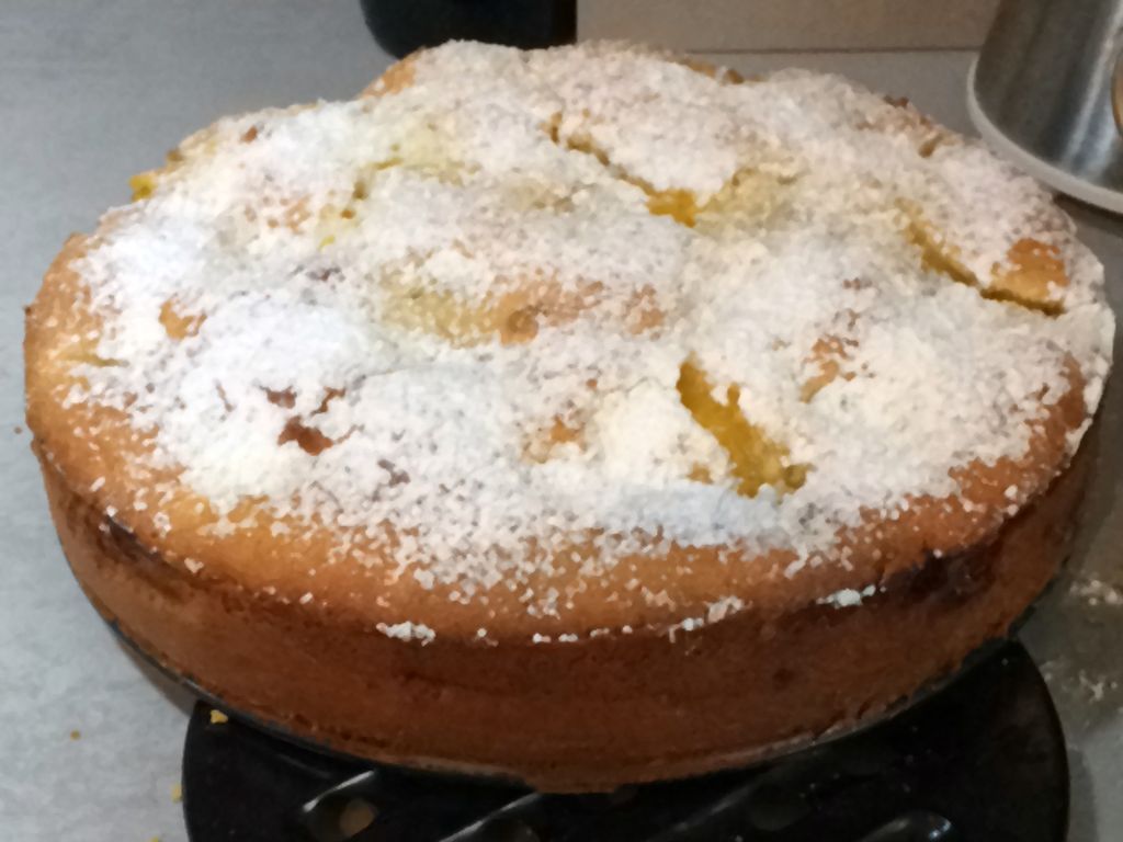 Gateau Aux Abricots Et Aux Pommes Recette De Gateau Aux Abricots Et Aux Pommes