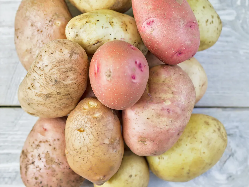 utilisation des variétés de pomme de terre dans les recettes