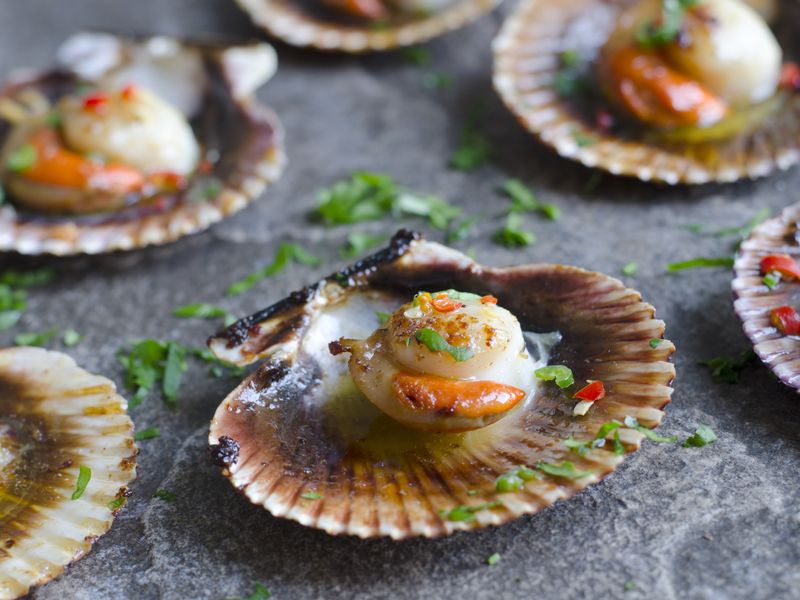 Coquilles Saint Jacques Au Noilly Prat Recette De Coquilles