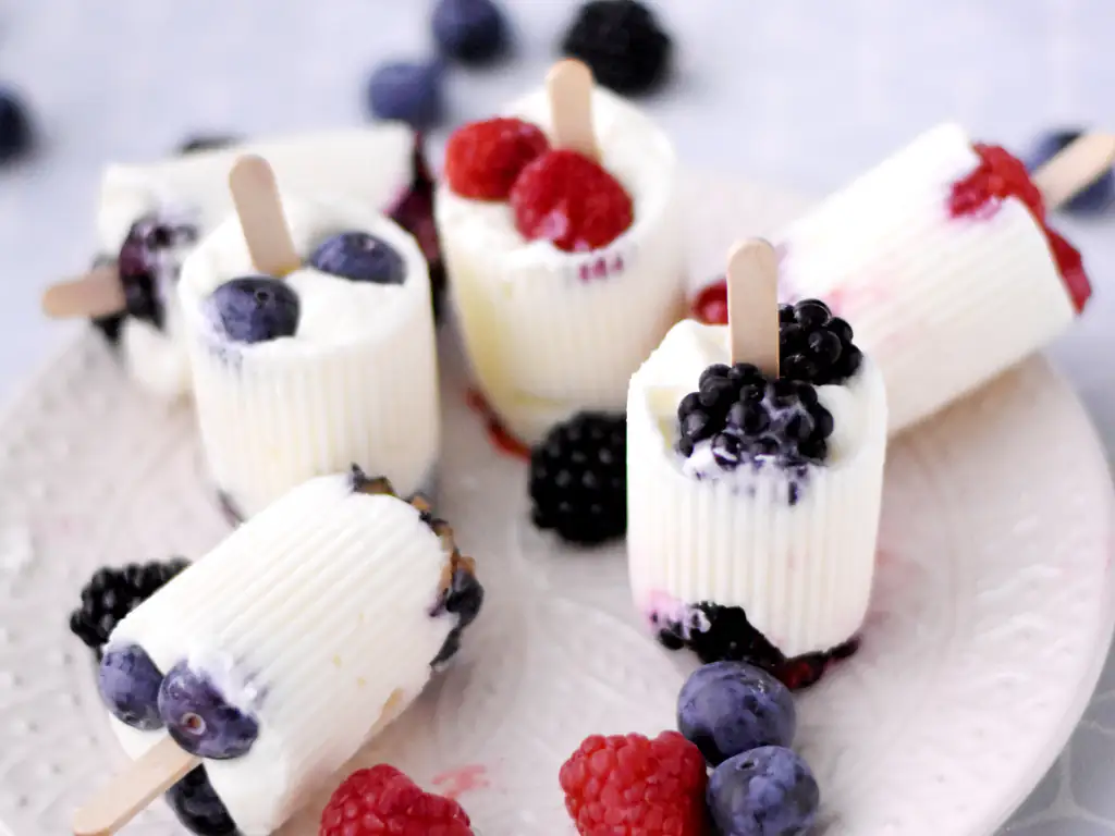 glace au yaourt et aux fruits