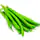 Haricot vert
