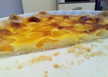 Recettes Pour Fleur D Oranger Page 9