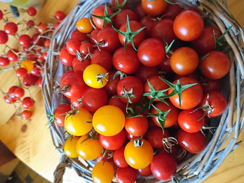 Sauce A La Tomate Cerise Recette De Sauce A La Tomate Cerise