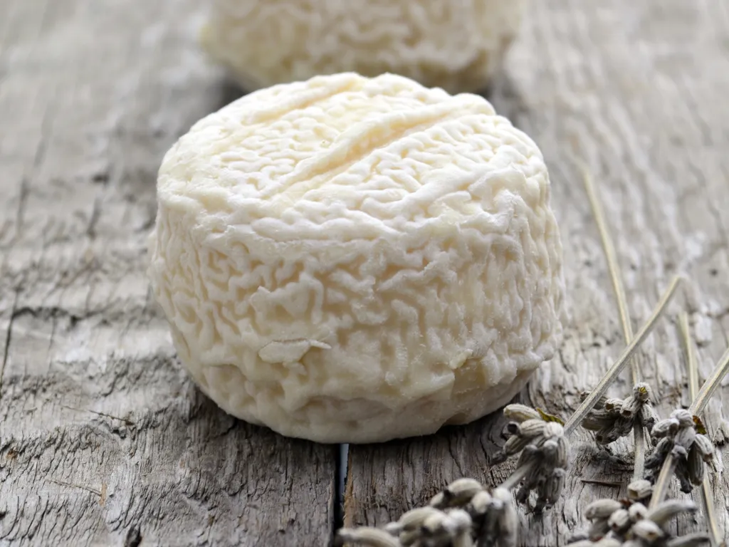 faire un fromage de chêvre ou de vache