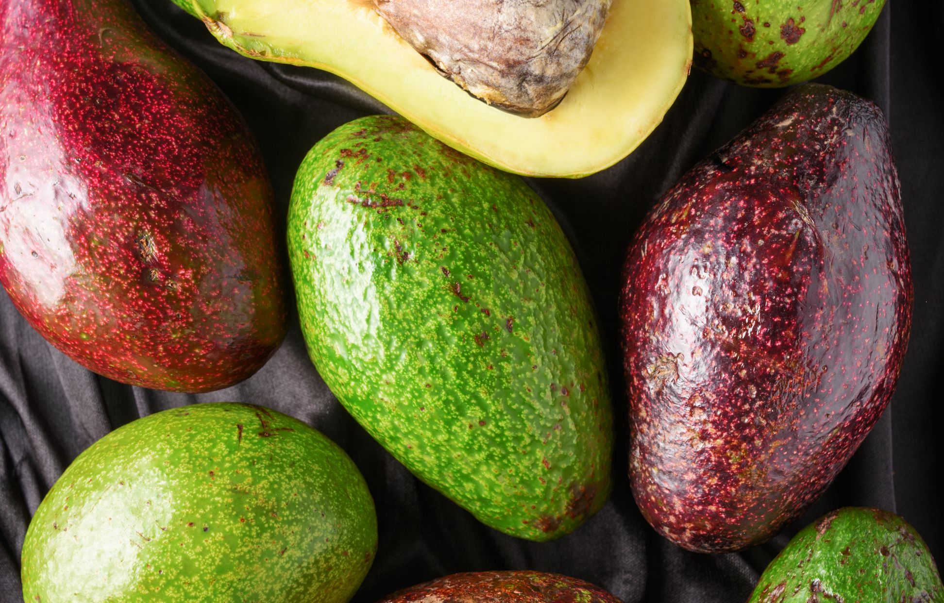 Les différentes variétés d'avocats : Recette de Les différentes ...