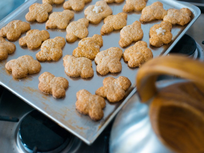 Pate Sablee Aux Noisettes Recette De Pate Sablee Aux Noisettes