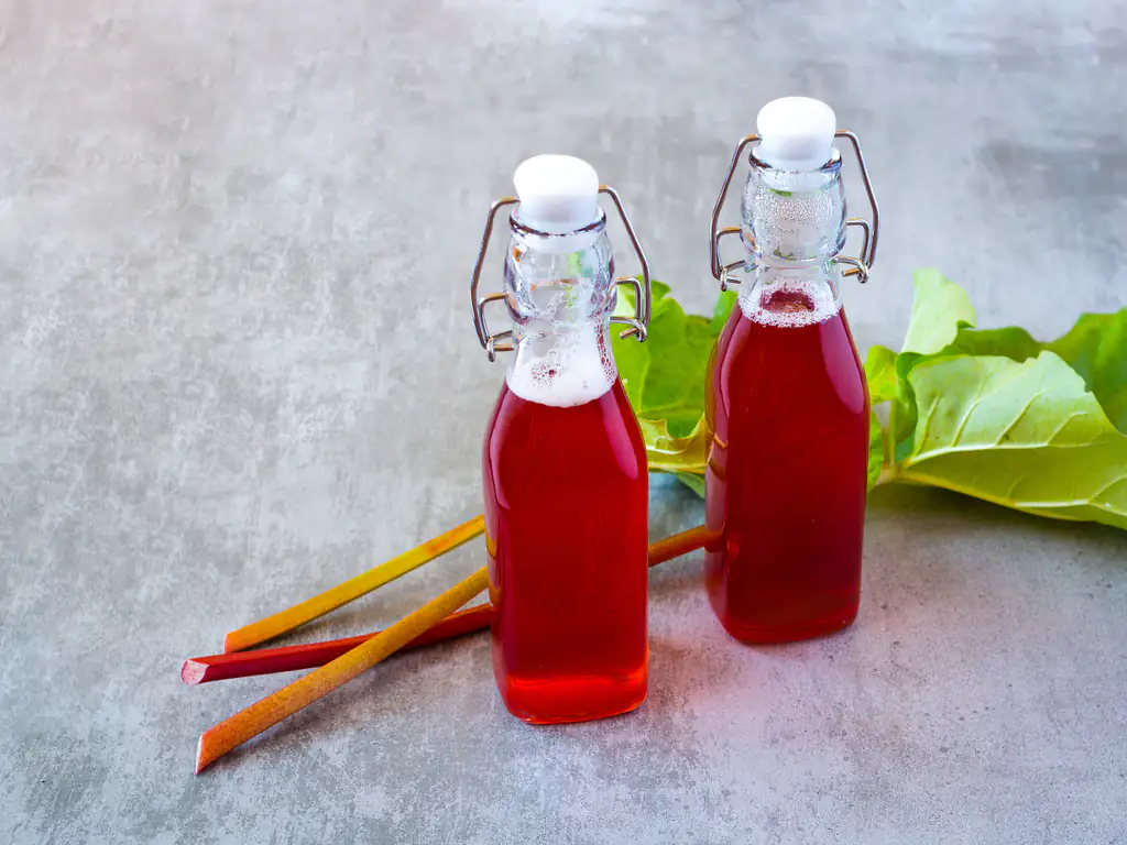 sirop de rhubarbe de camila