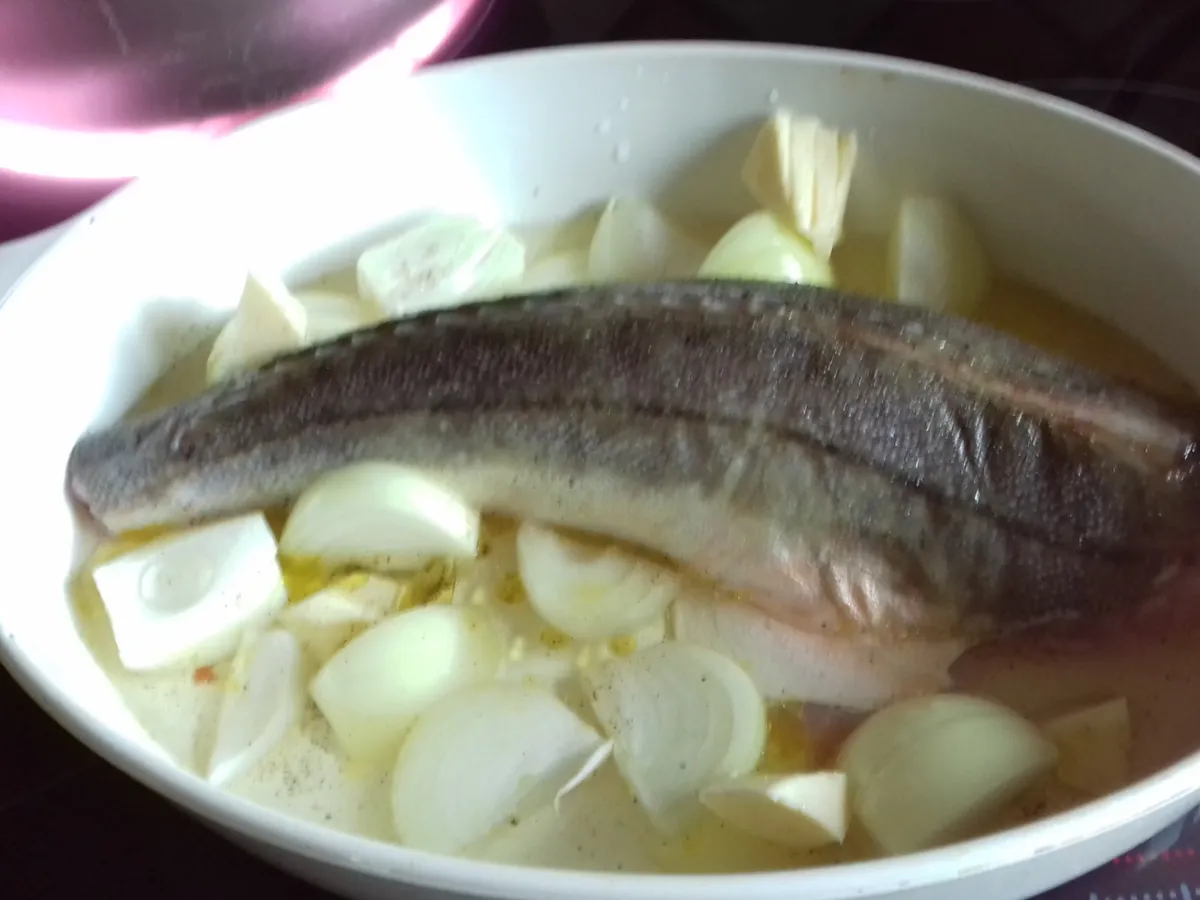 Grondin Au Four à La Provençale Maire tempérer activité recette grondin au four marmiton Démêler  Préhistorique exotique