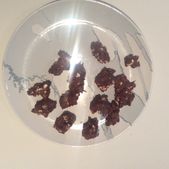 Chamallow Gourmand Recette De Chamallow Gourmand