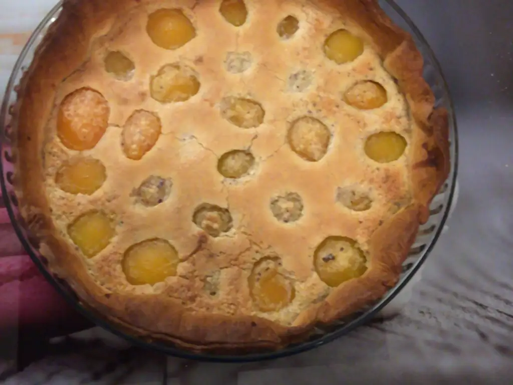 tarte bourdaloue aux abricots