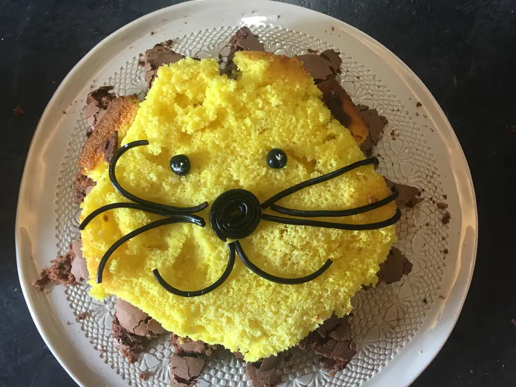 Gateau D Anniversaire Lion Recette De Gateau D Anniversaire Lion
