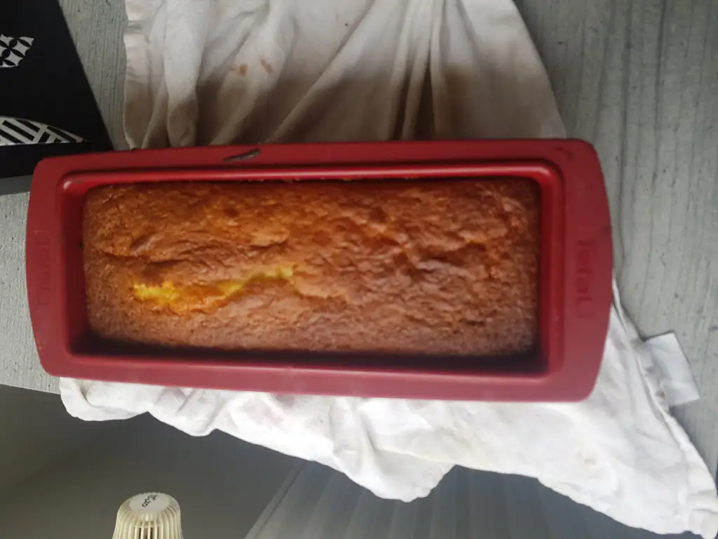 Cake Aux Brugnons Recette De Cake Aux Brugnons