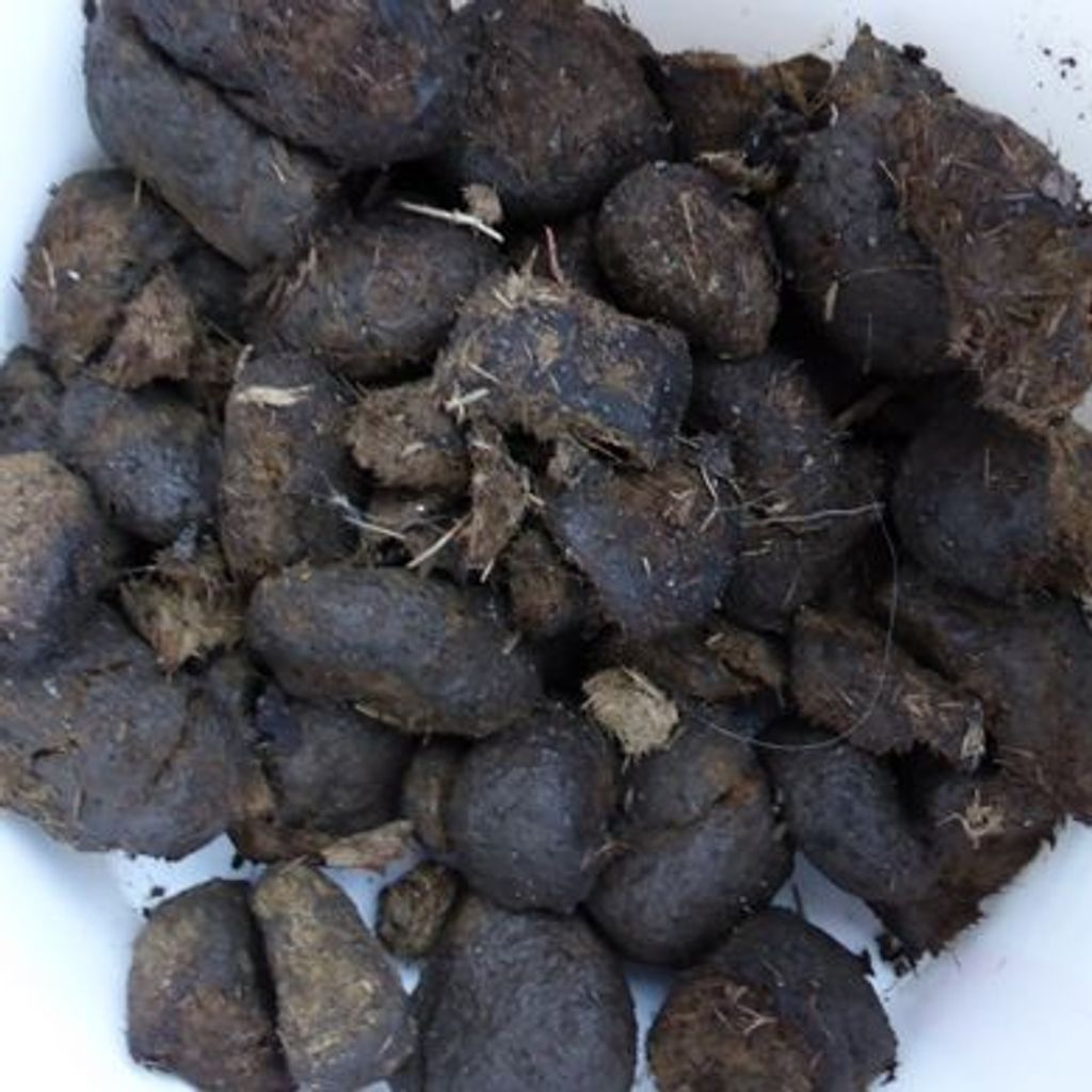 Crottes D Ane Recette Boulangere Recette De Crottes D Ane Recette Boulangere