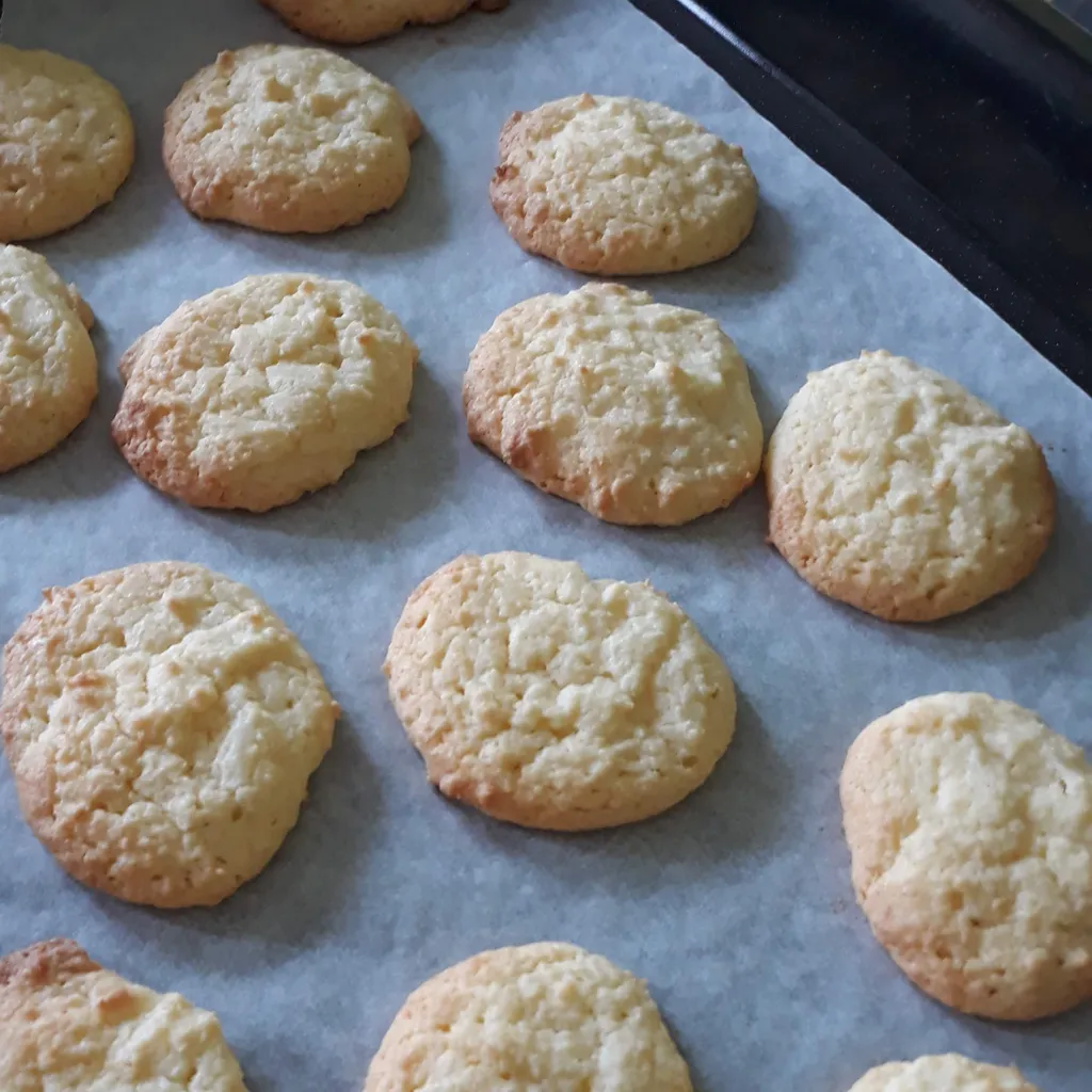 Biscuits sans sucre à la coco facile : découvrez les recettes de