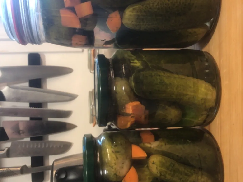 Haut 77+ imagen recette de cornichon au vinaigre marmiton fr