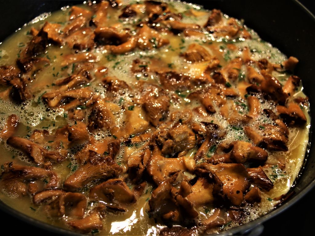 Omelette Aux Girolles Et Lardons Ma Cuisine A Moi Omelette Girolles Lardon Oeuf Benedicte