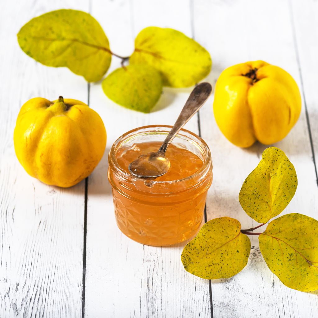 Confiture de figues et citrons, cuisson facile et rapide : découvrez les  recettes de Cuisine Actuelle