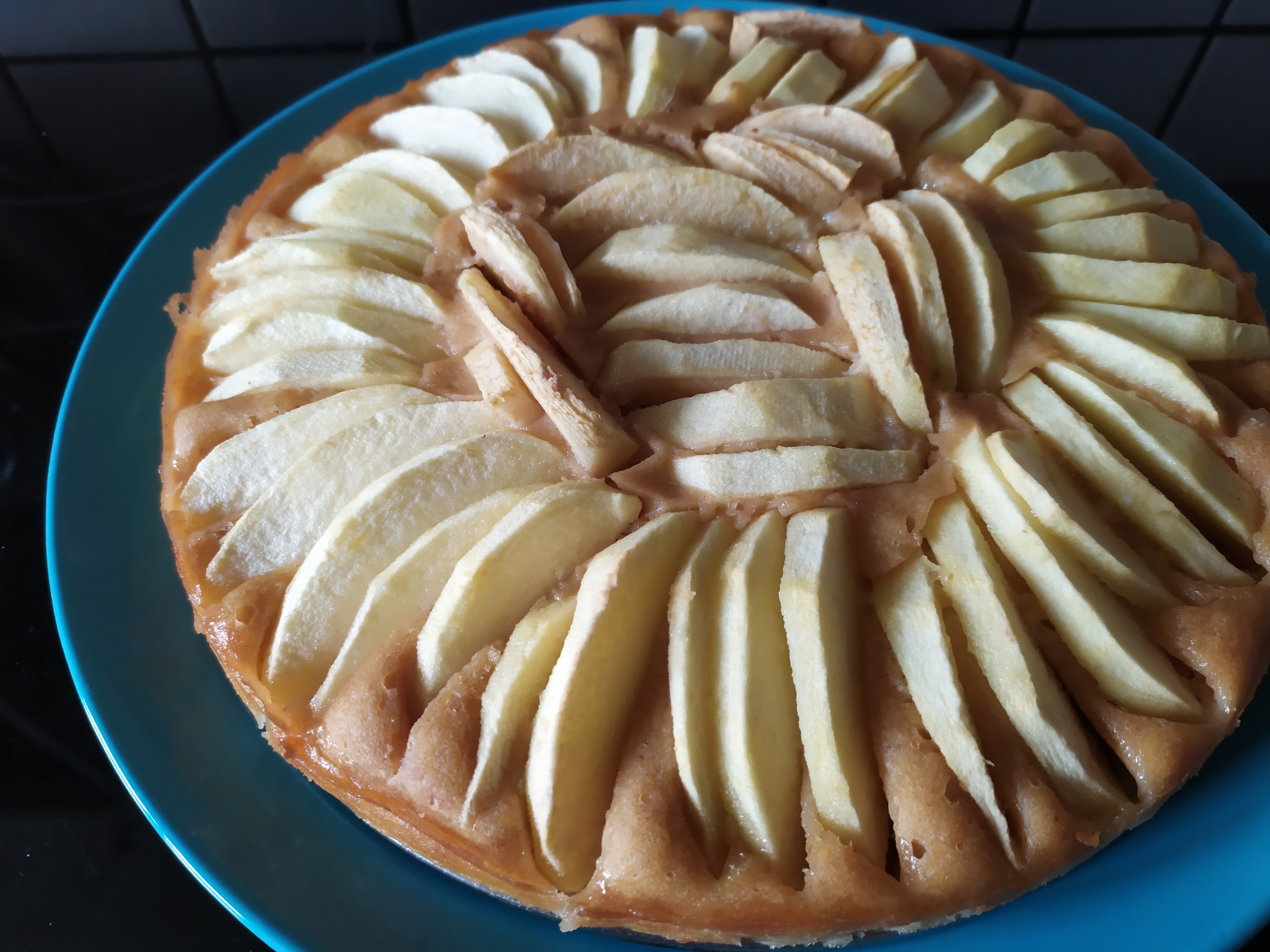 Gateau Aux Pommes Sans Sucre Sans Edulcorant Recette De Gateau Aux Pommes Sans Sucre Sans Edulcorant