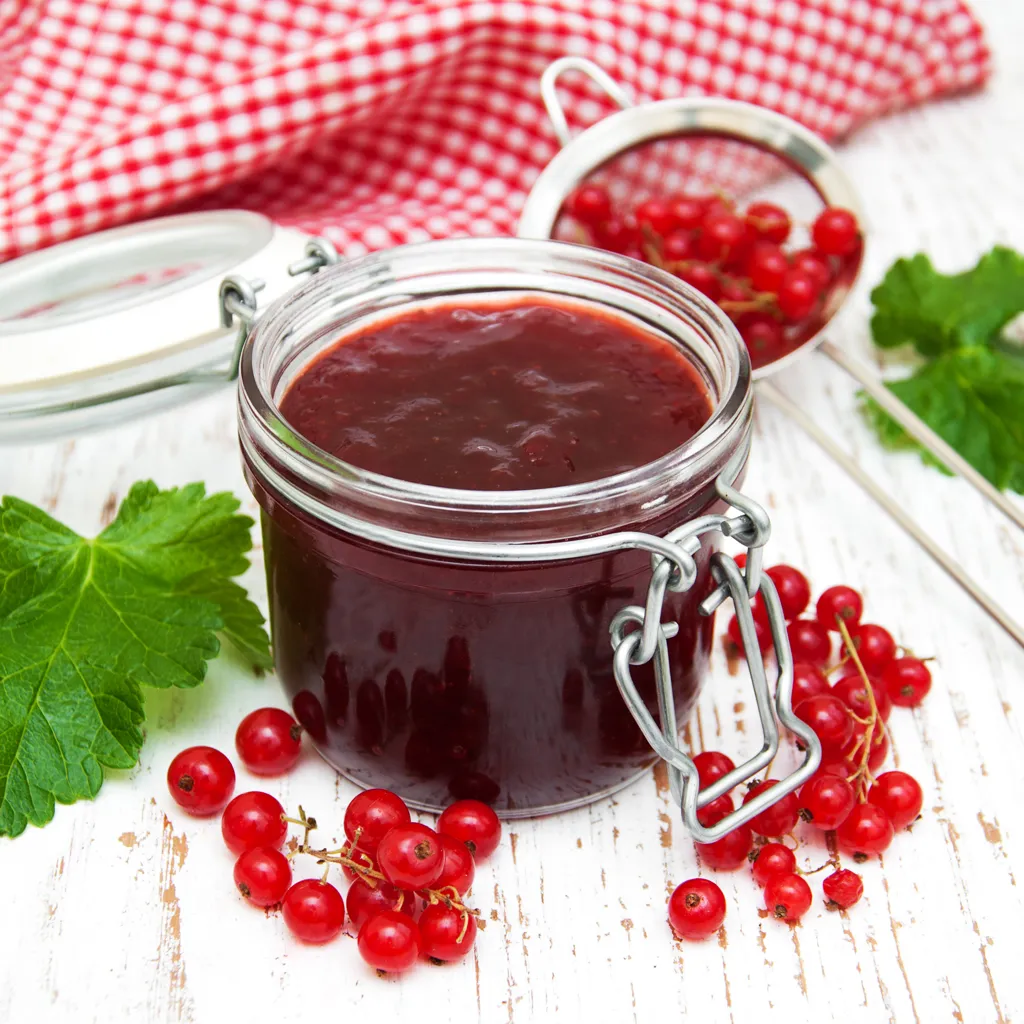 Confiture De Groseille Thermomix Agar Agar Gelée de groseilles au Monsieur Cuisine : recette de Gelée de groseilles au  Monsieur Cuisine