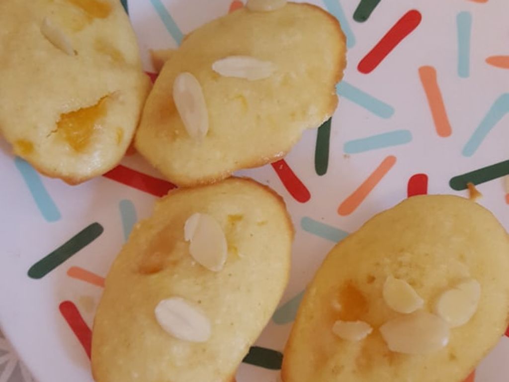 Madeleine A La Peche Et Poudre De Noix De Coco Recette De