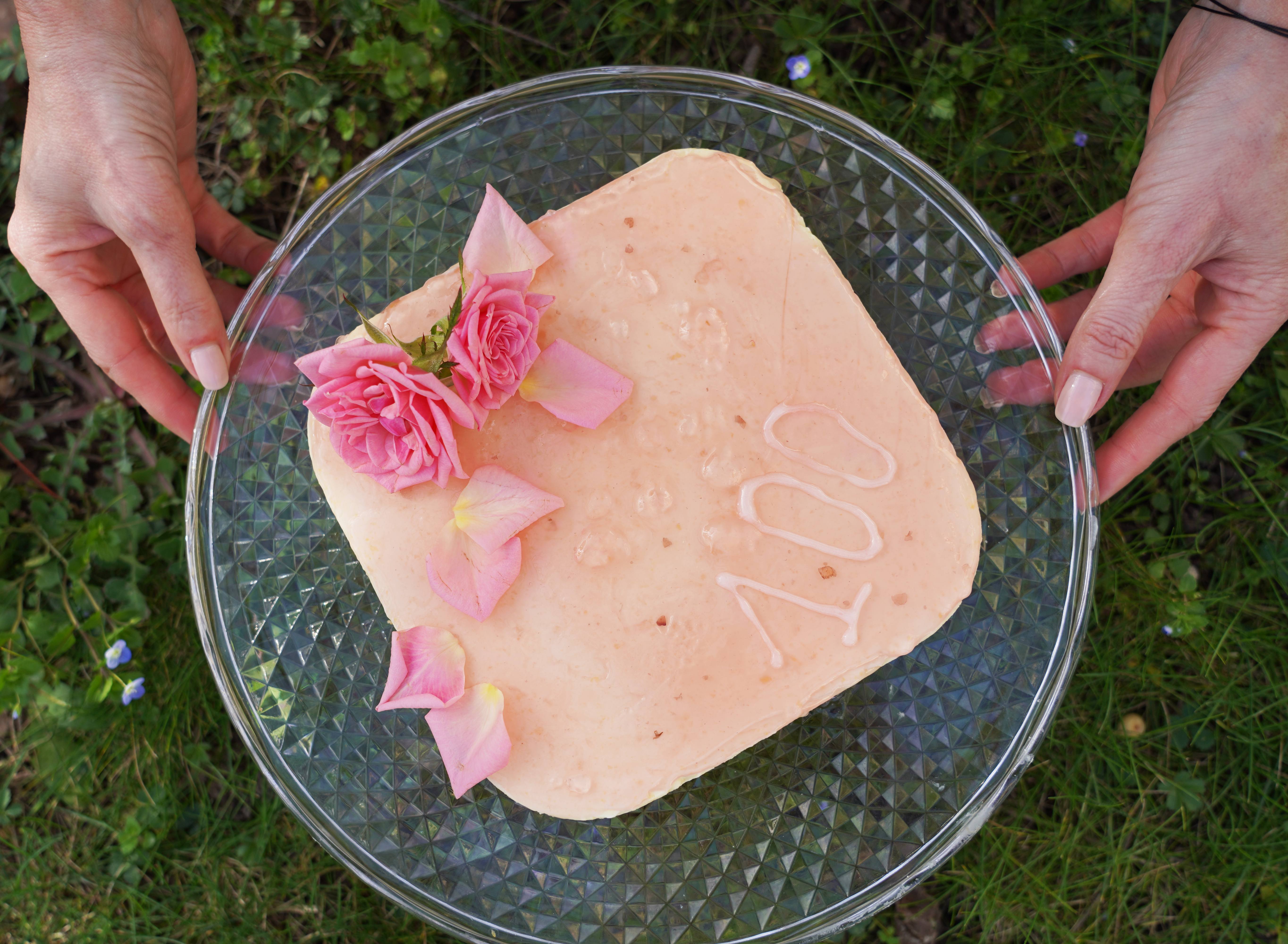 Gateau Aux Biscuits Roses Nos Delicieuses Recettes De Gateau Aux Biscuits Roses