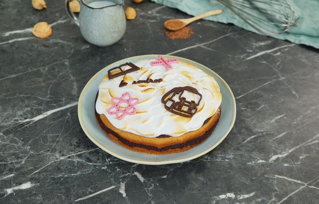 Zebra cake végétal