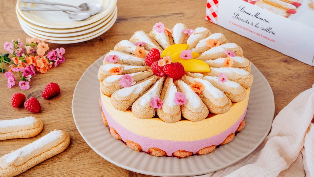 Bavarois Framboise Mangue aux Biscuits à la Cuillère Bonne Maman