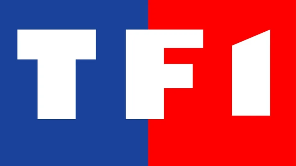 TF1 : Au top des audiences de 2011