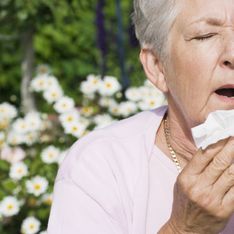 Allergies : Attention aux pollens d'arbres !