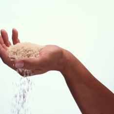 Diabète : Le riz blanc serait néfaste