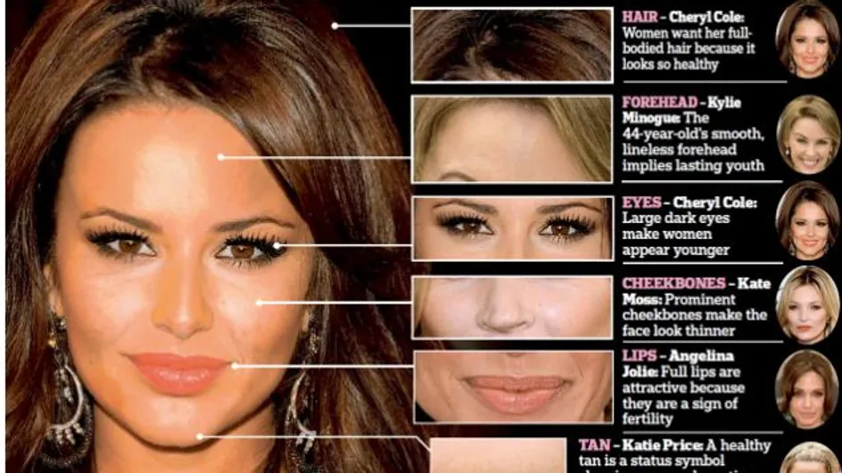 Beauté : Le visage parfait selon les femmes (photo)