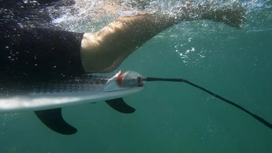 Attaques de requins : Le "bouclier électrique", l'invention miracle ?