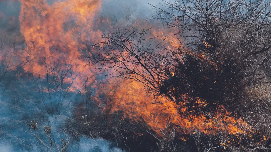 Un incendie en Espagne fait un mort et entraîne l'évacuation de milliers de personnes