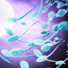 Don de sperme : Il transmet une maladie génétique à 9 enfants